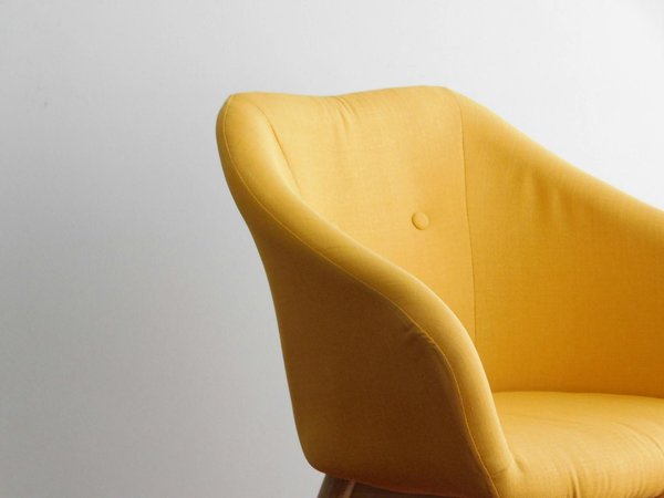 Comment transporter son animal de compagnie lors d'un déménagement longue distance ?